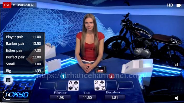 Panduan Bermain Bet on Baccarat untuk Pemula
